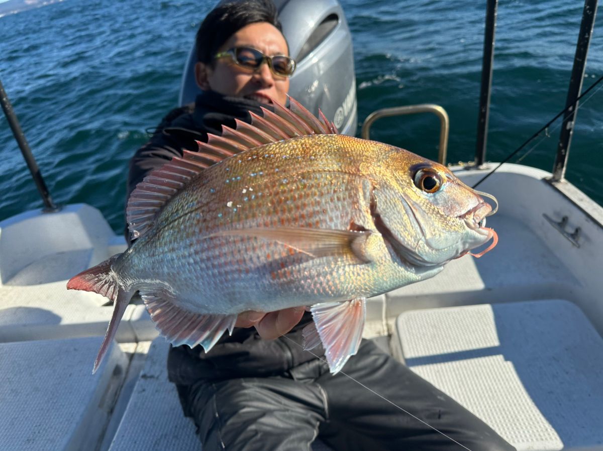 Ryo Kさんの釣果 2枚目の画像