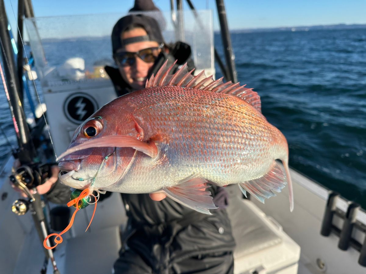 Ryo Kさんの釣果 3枚目の画像