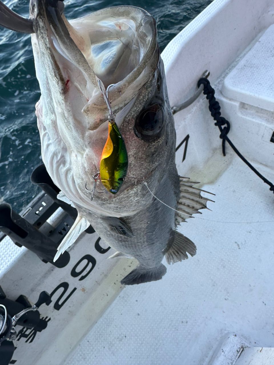 Ryo Kさんの釣果 2枚目の画像