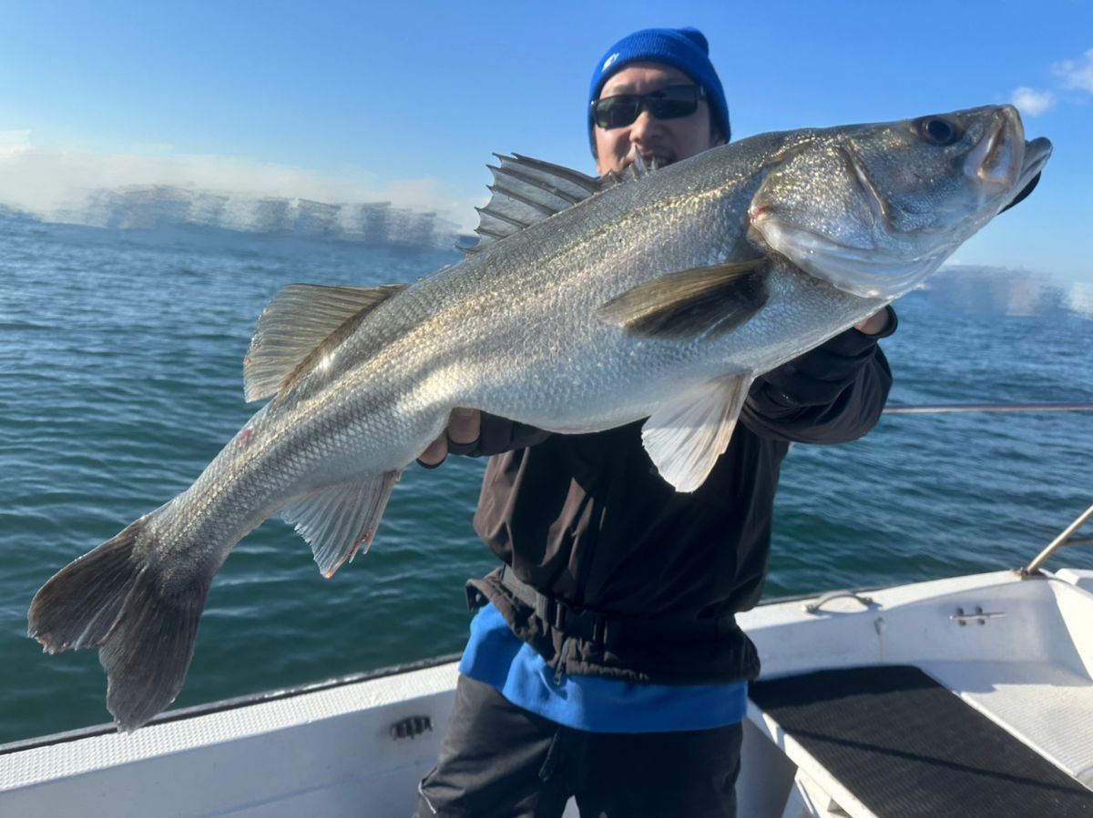 Ryo Kさんの釣果 2枚目の画像