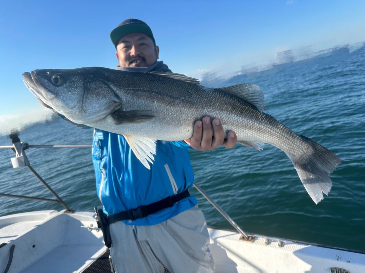 Ryo Kさんの釣果 3枚目の画像