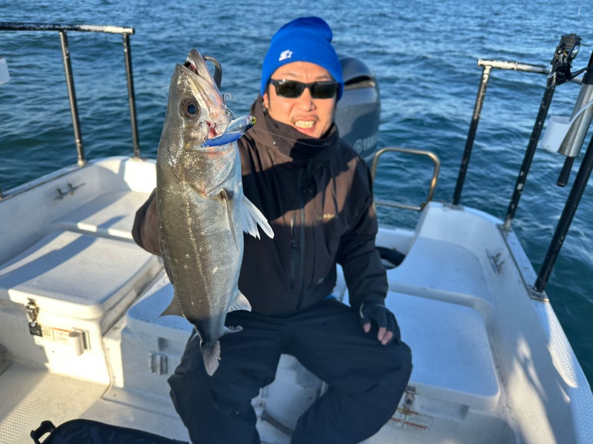 Ryo Kさんの釣果 3枚目の画像