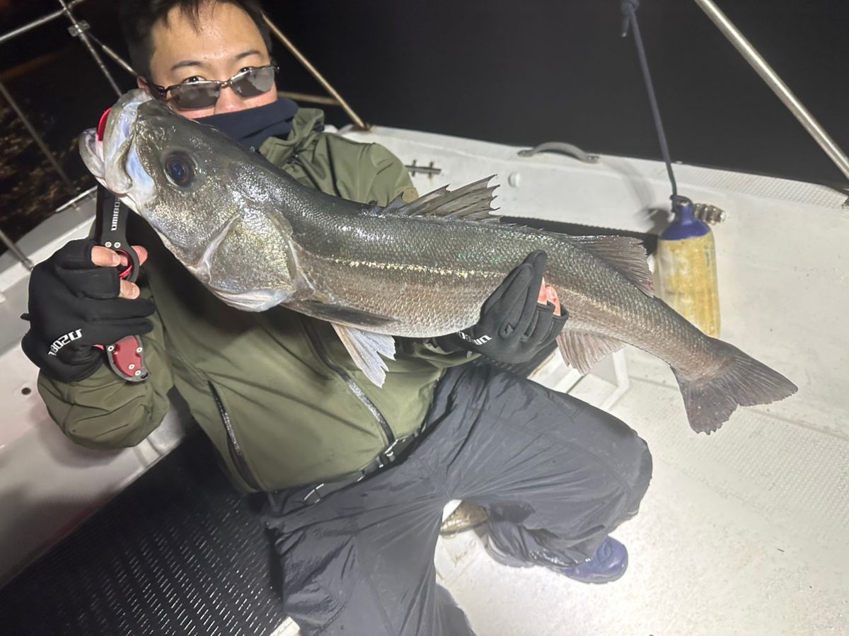 Ryo Kさんの釣果 3枚目の画像