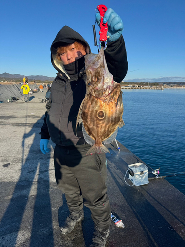 マトウダイの釣果