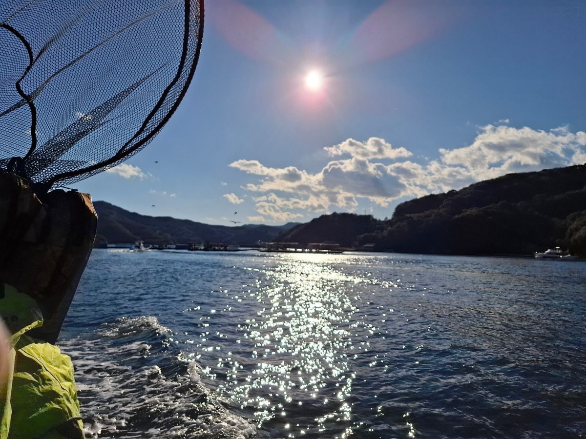 海釣り大好き50代さんの釣果 2枚目の画像