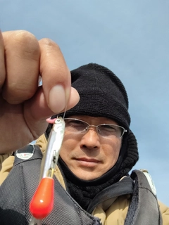 ワカサギの釣果