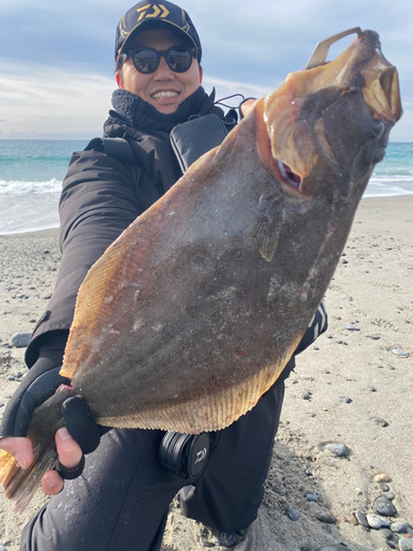 ヒラメの釣果