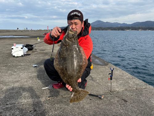 ヒラメの釣果