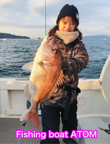 マダイの釣果