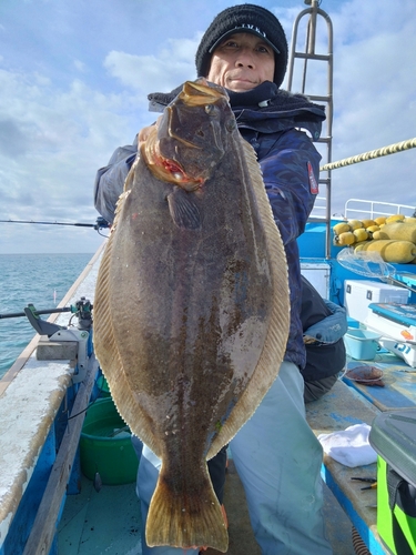 ヒラメの釣果