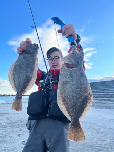 ヒラメの釣果