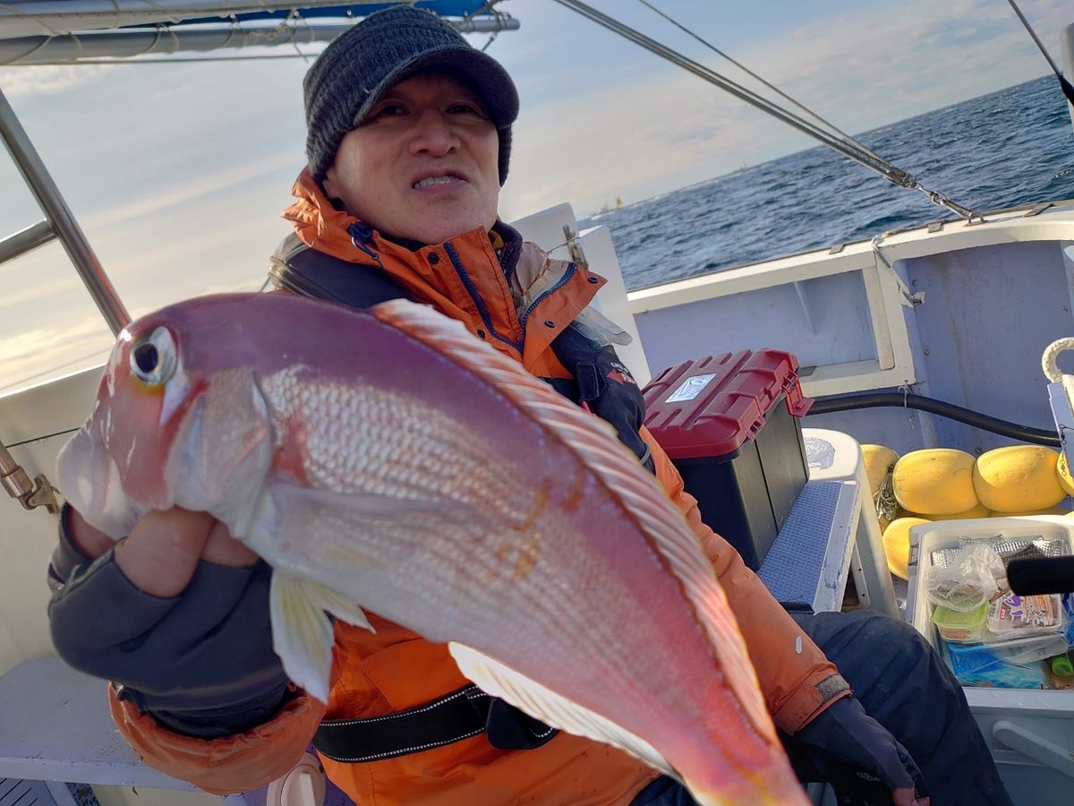 丸伊丸@長井港さんの釣果 2枚目の画像