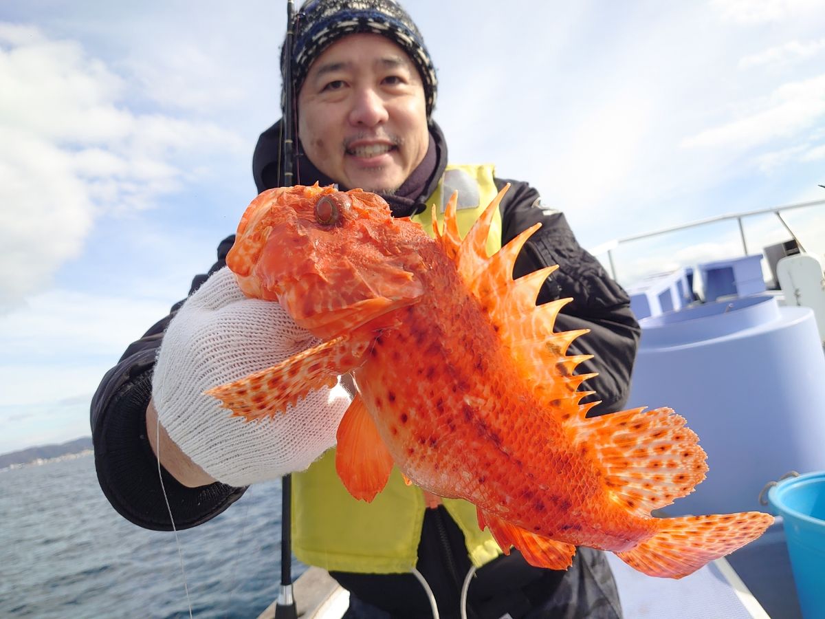 丸伊丸@長井港さんの釣果 3枚目の画像