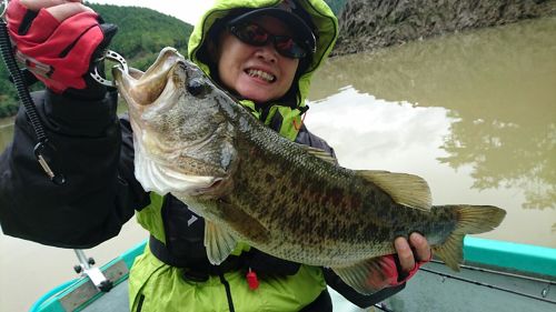 ブラックバスの釣果