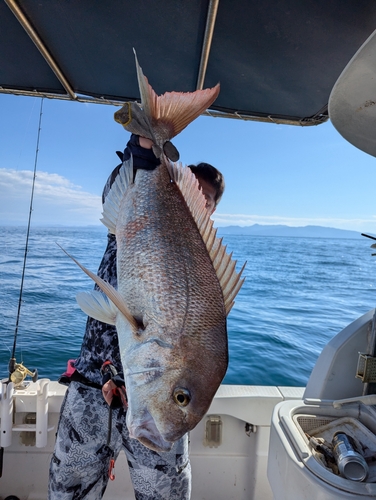 タイの釣果