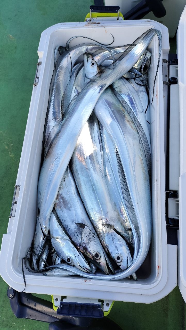 東京湾のおっさんさんの釣果 2枚目の画像