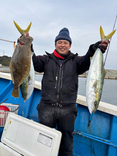 ブリの釣果