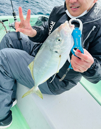 シマアジの釣果