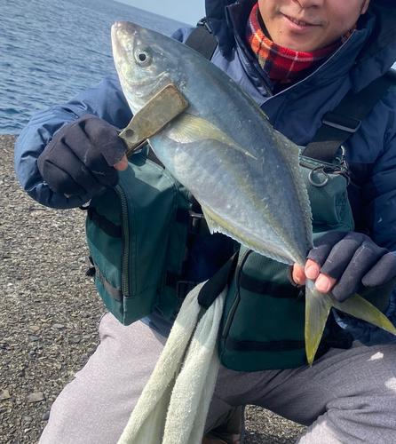 シマアジの釣果