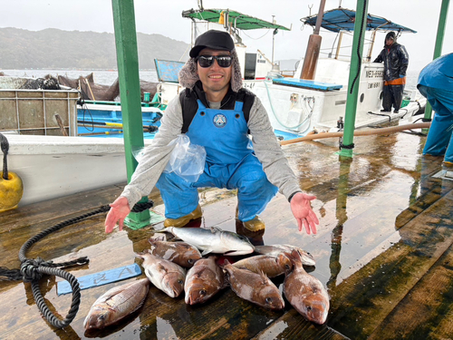 タイの釣果