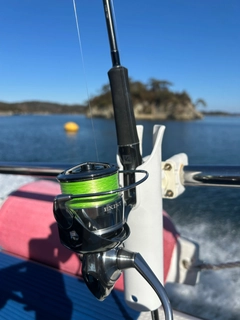 ハナダイの釣果