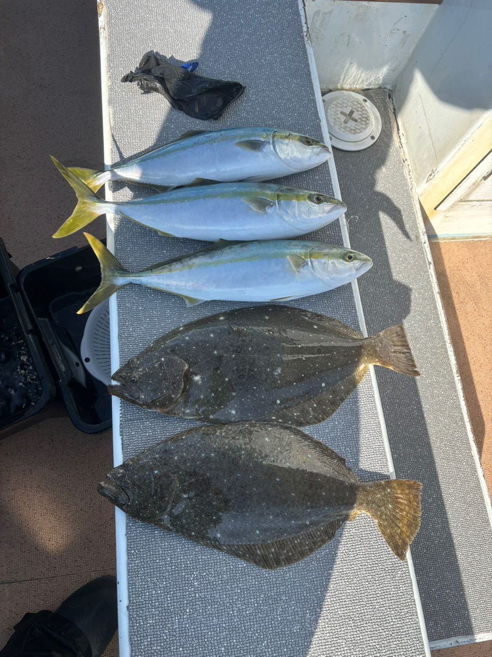 ふわトロ鍋さんの釣果 3枚目の画像