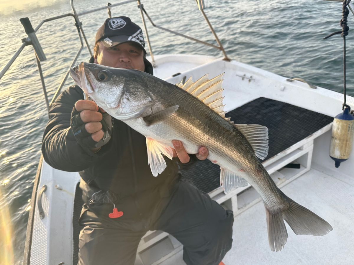 Ryo Kさんの釣果 3枚目の画像