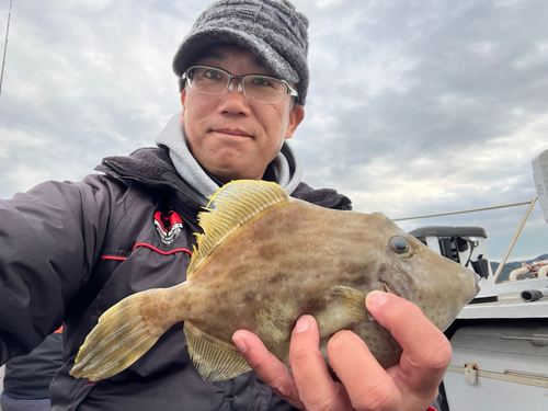 カワハギの釣果