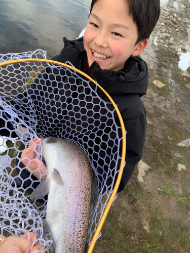 トラウトの釣果