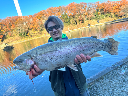 ニジマスの釣果