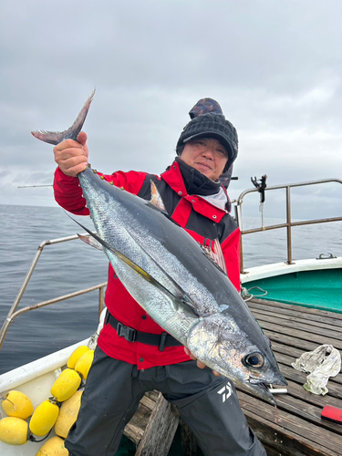 ビンチョウマグロの釣果