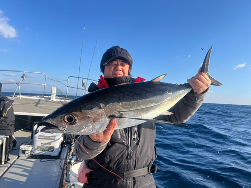 ビンチョウマグロの釣果