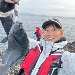 クチブトグレの釣果