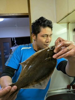 マコガレイの釣果