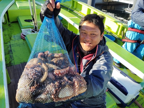 マダコの釣果