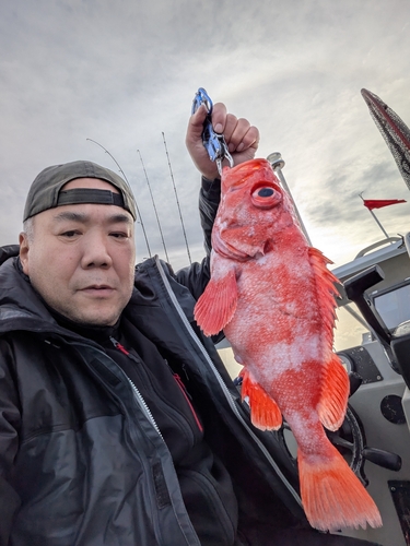 ホウズキの釣果