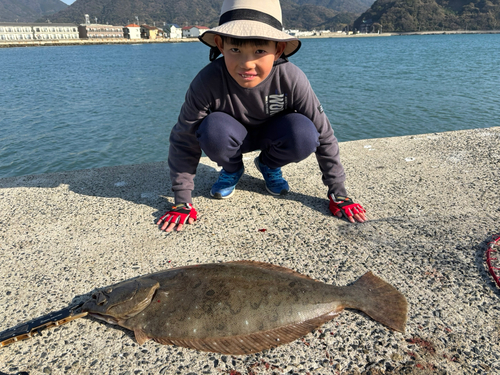 ヒラメの釣果