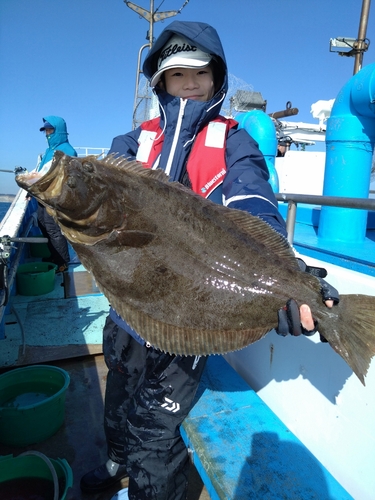 ヒラメの釣果