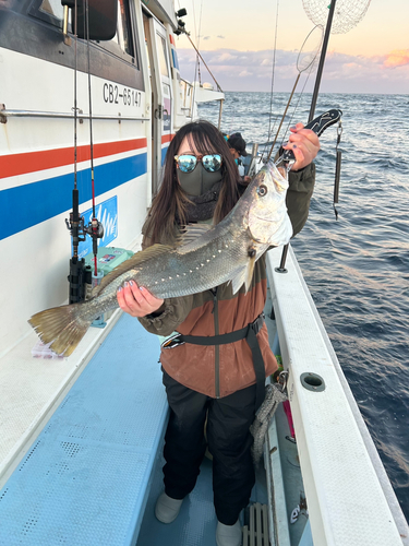 オオニベの釣果