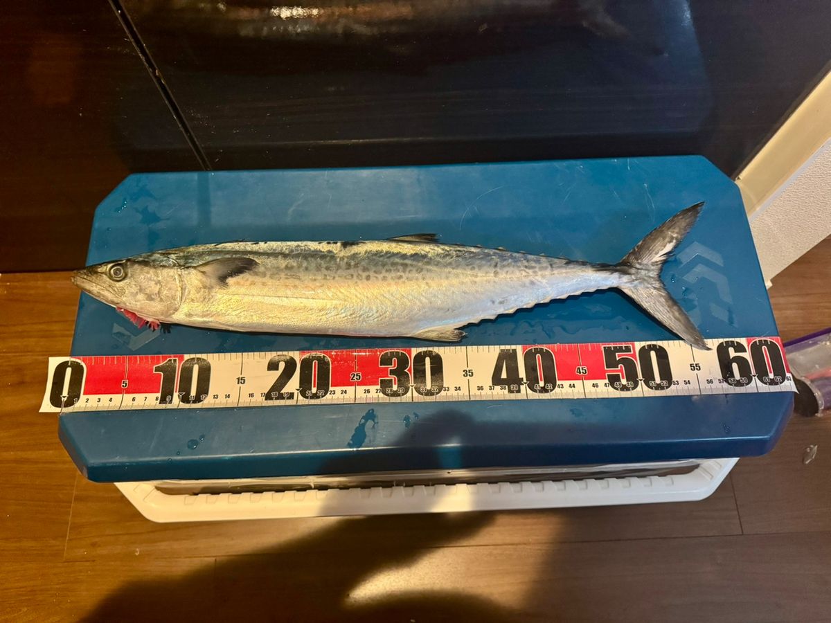 E-OSさんの釣果 2枚目の画像