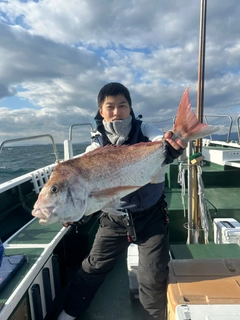 タイの釣果