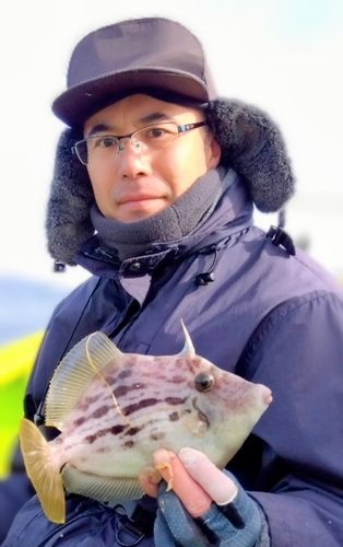 カワハギの釣果