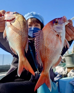 タイの釣果