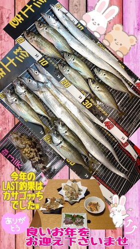 タチウオの釣果