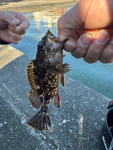 釣果