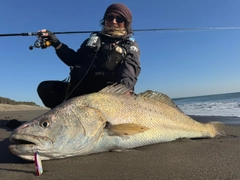 オオニベの釣果