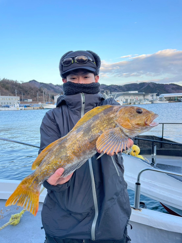 アイナメの釣果