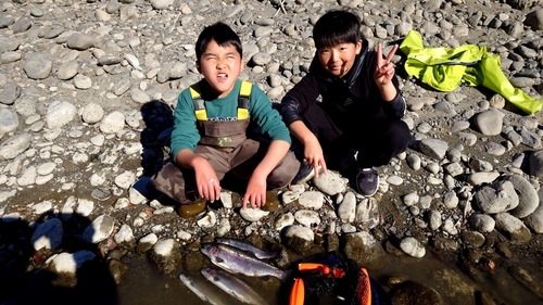 ニジマスの釣果