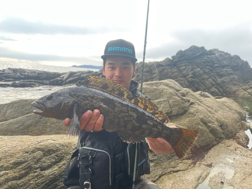 アイナメの釣果