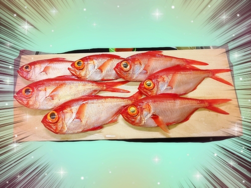 キンメダイの釣果